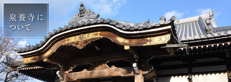 泉養寺について